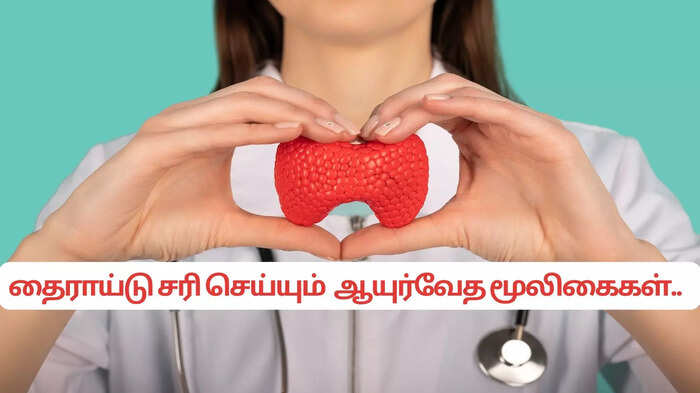 தைராய்டு சரி செய்யும் 5 ஆயுர்வேத மூலிகைகள்..