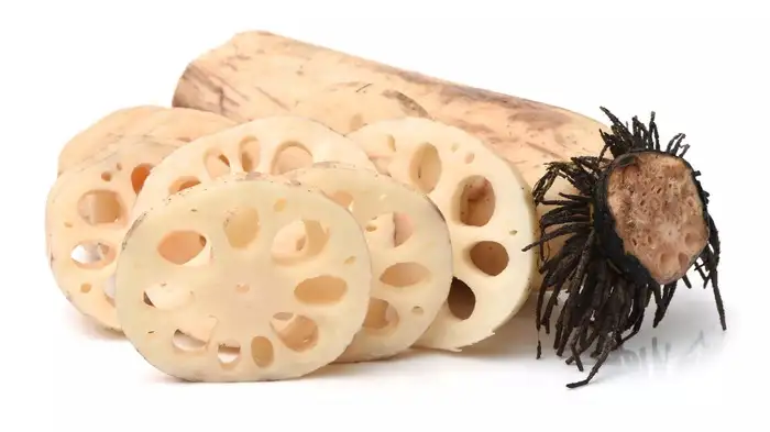 தாமரை வேர் : காசநோய், ஆஸ்துமா, ஜீரணம், இரத்த அழுத்தம் நோய்க்கு மருந்து.