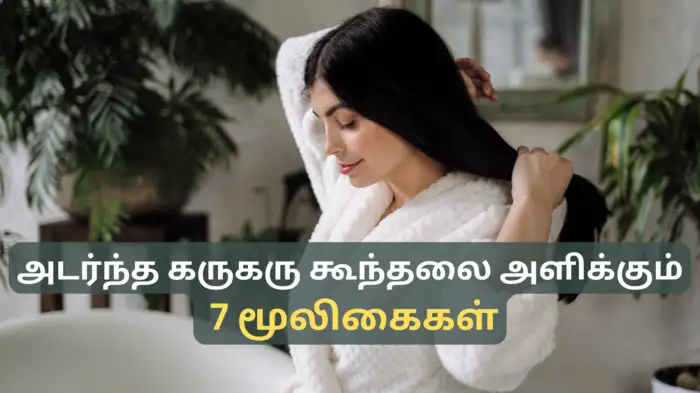 நீண்ட அடர்ந்த கருகரு கூந்தலுக்கு டாப் 7 மூலிகைகள்.