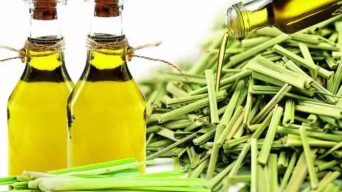 லெமன்கிராஸ் ஆயில் லெமன்கிராஸ் ஆயில்