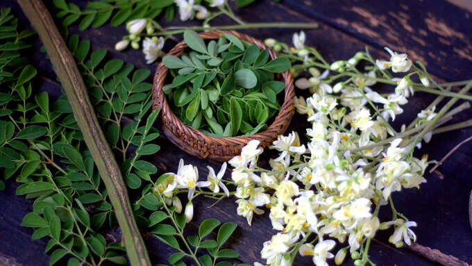 முருங்கை இலையில் இருக்கும் ஊட்டச்சத்துக்கள்