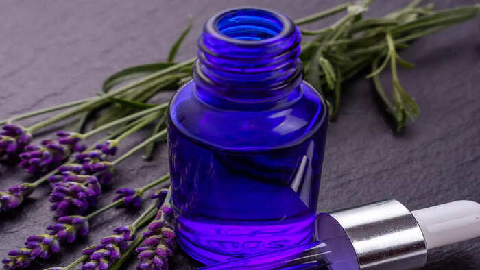 ​முடக்குவாதத்துக்கு லாவெண்டர் எண்ணெய்​
