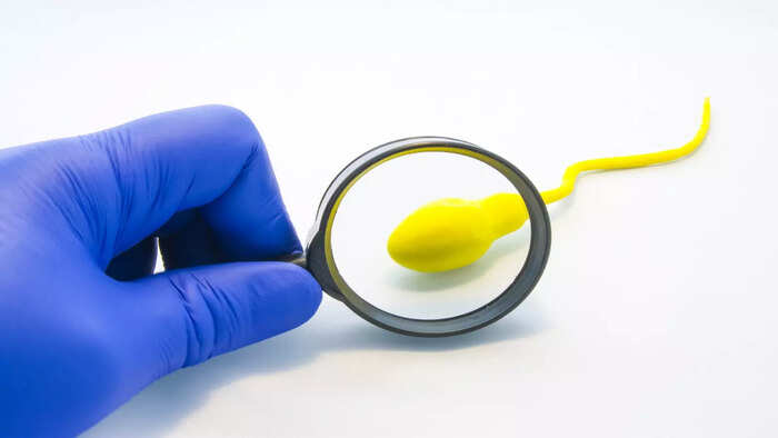 ​ஆண்களின் விறைப்புத்தன்மைக்கு வெள்ளை முசிலி​