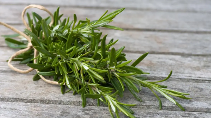 ​ரோஸ்மேரி 