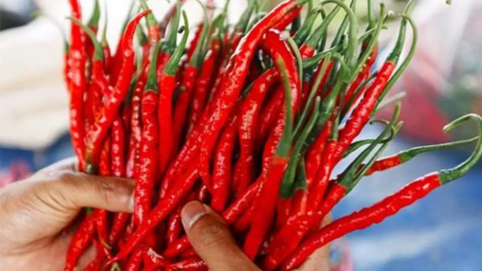 ​கெயான் பெப்பர் 