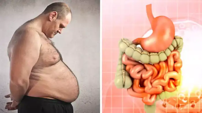 வயிறு உப்பசம் பெரிய பிரச்சினையா இருக்கா? இந்த 7 உணவை எடுத்துகிட்டா உடனே குறைஞ்சிடும்!