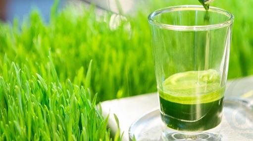 அருகம்புல்